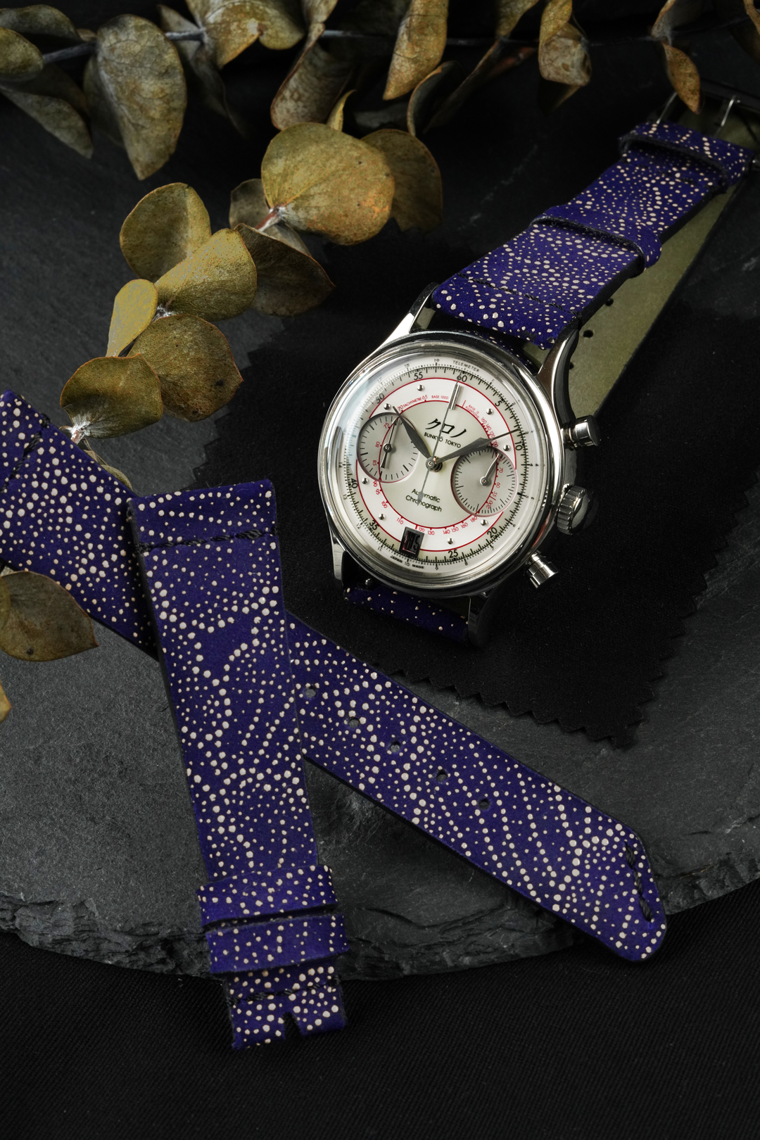 blue watch strap with white dial on rock plate and leafy background